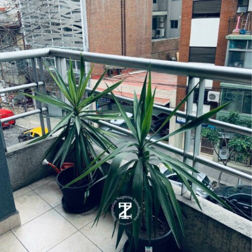 Palermo IJ35-Cabrera 3300-2 Ambientes